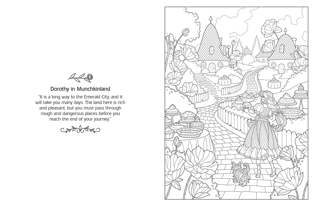 The Wicked Witch of Oz Colouring Book